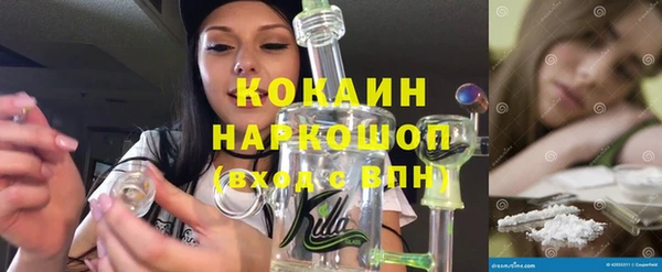 соль ск Дмитров
