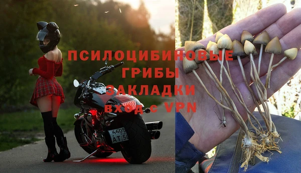 соль ск Дмитров