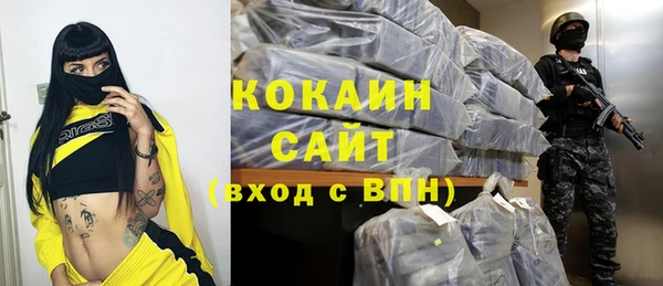 соль ск Дмитров