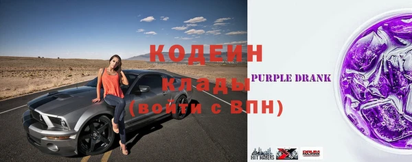соль ск Дмитров