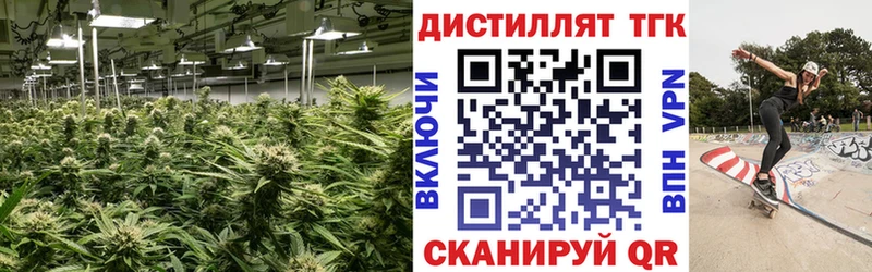 Купить закладки  Трёхгорный  Дистиллят ТГК THC oil 